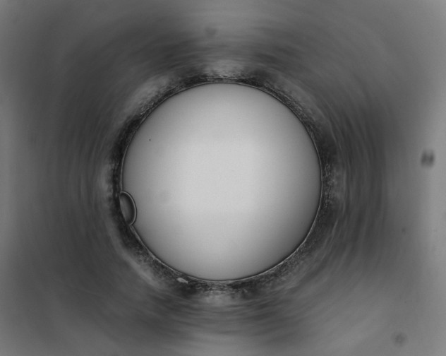 X0000101680738200807241345