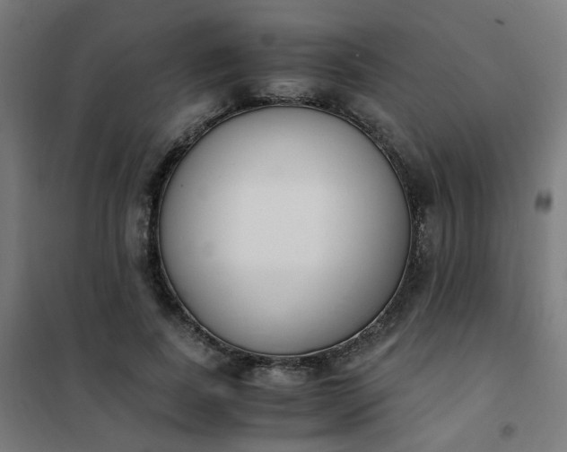 X0000101680739200807241345