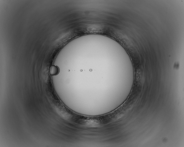 X0000101680741200807241345