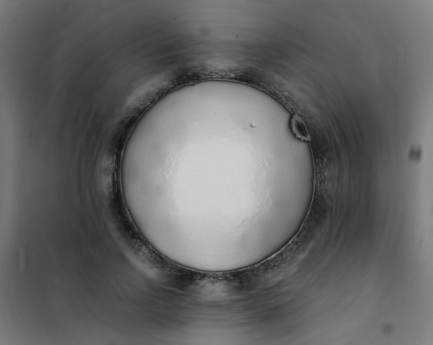 X0000101680742200807241345