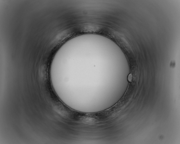 X0000101680743200807241345