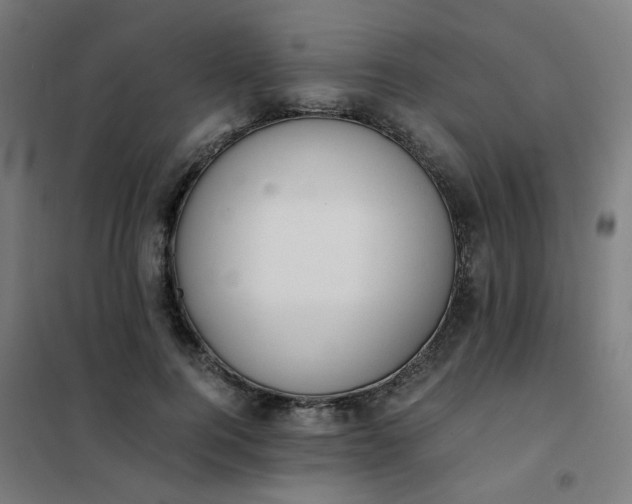 X0000101680744200807241345