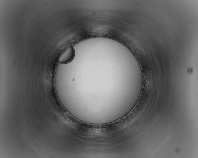 X0000101680745200807241345