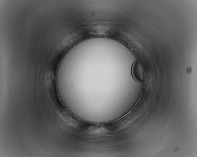 X0000101680747200807241345