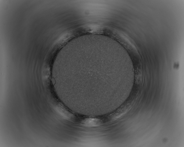 X0000101680748200807241345