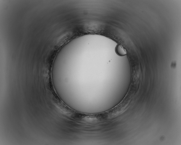 X0000101680749200807241345