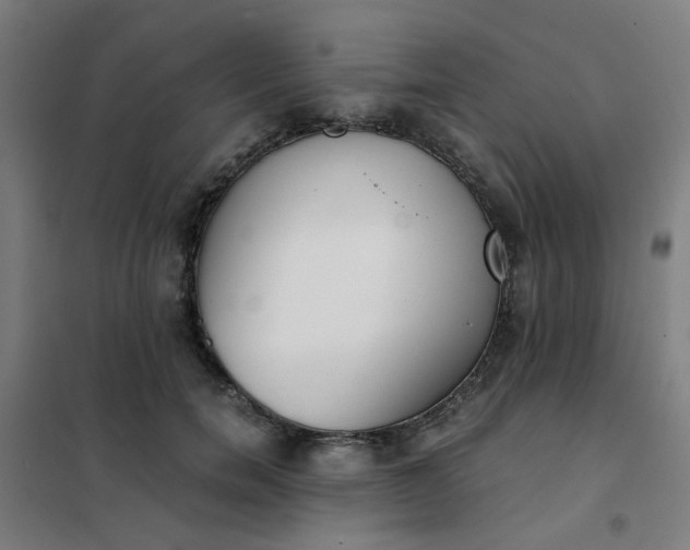 X0000101680750200807241345