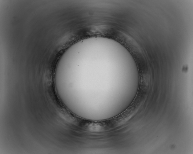 X0000101680751200807241345