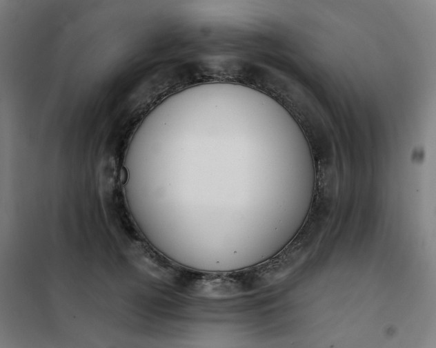 X0000101680752200807241345