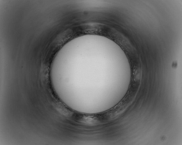 X0000101680753200807241345