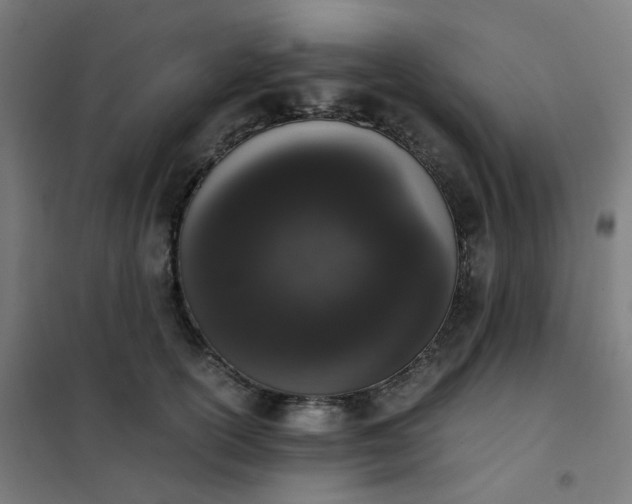 X0000101680754200807241345