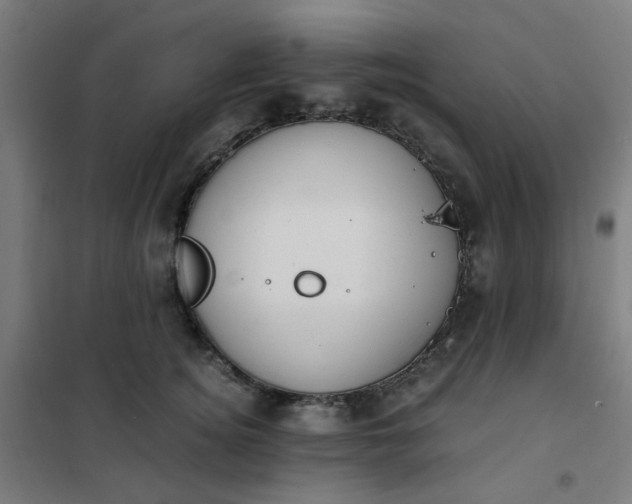 X0000101680756200807241345