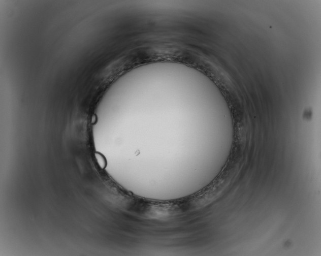 X0000101680757200807241345