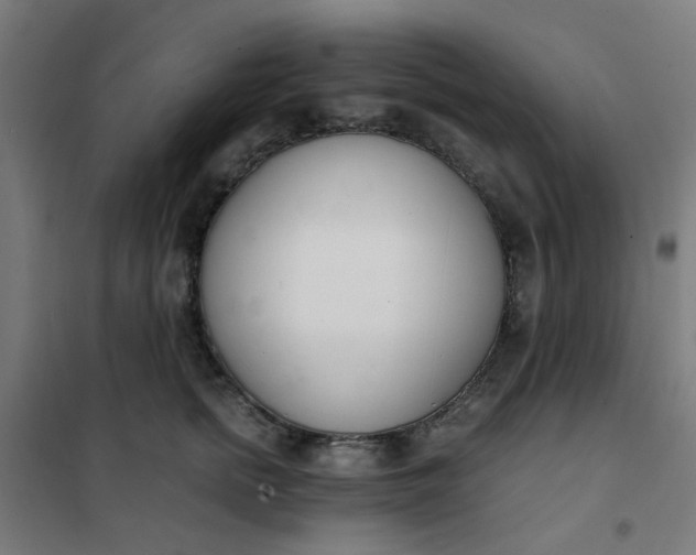 X0000101680758200807241345