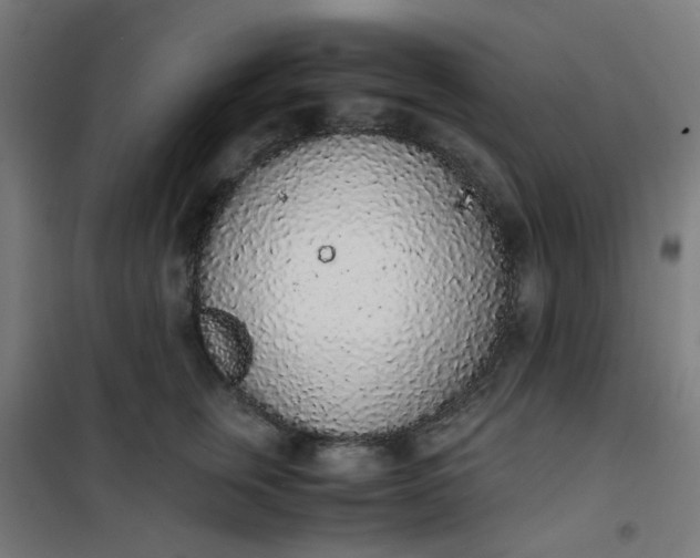 X0000101680759200807241345