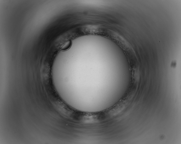 X0000101680760200807241345