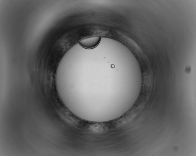 X0000101680761200807241345