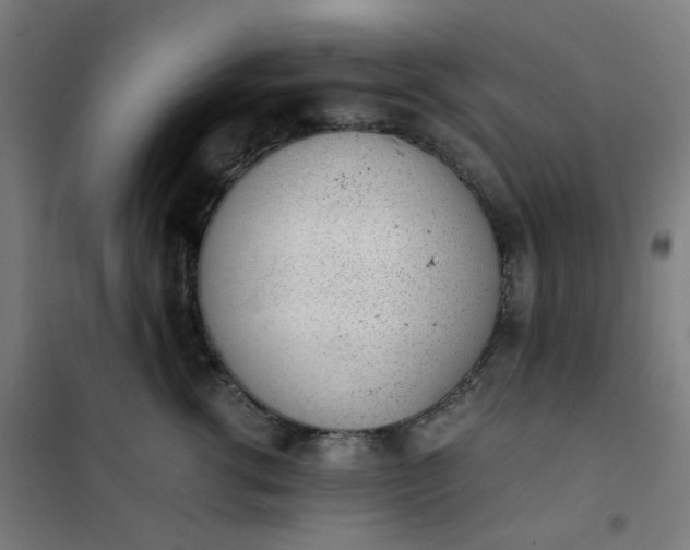 X0000101680762200807241345