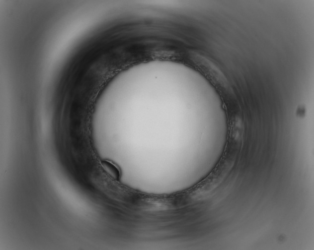 X0000101680763200807241345