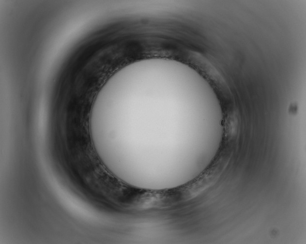 X0000101680764200807241345