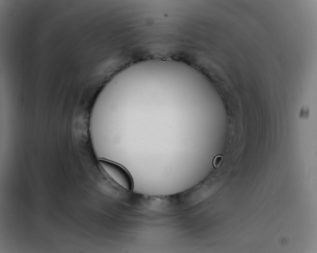 X0000101680768200807241345