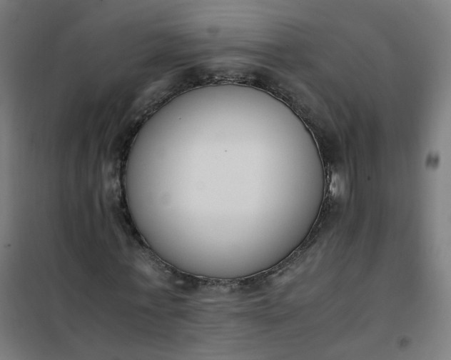 X0000101680771200807241345