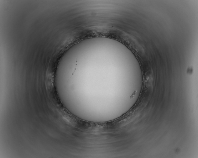 X0000101680772200807241345