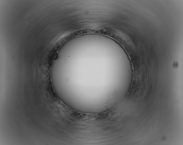 X0000101680773200807241345