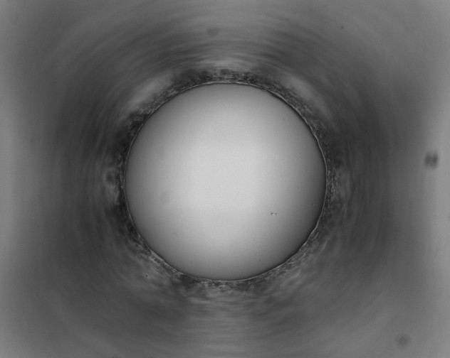 X0000101680774200807241344