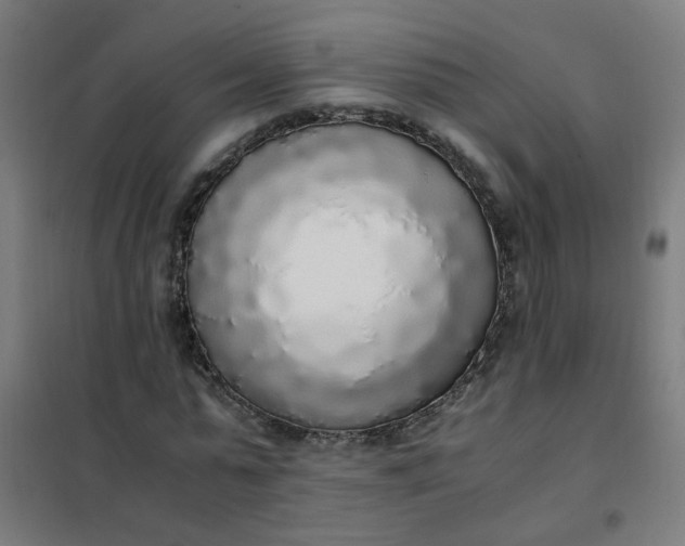 X0000101680775200807241344