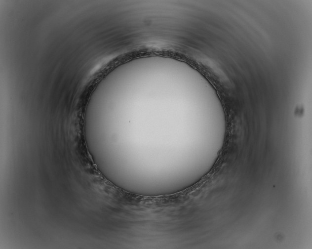 X0000101680776200807241344