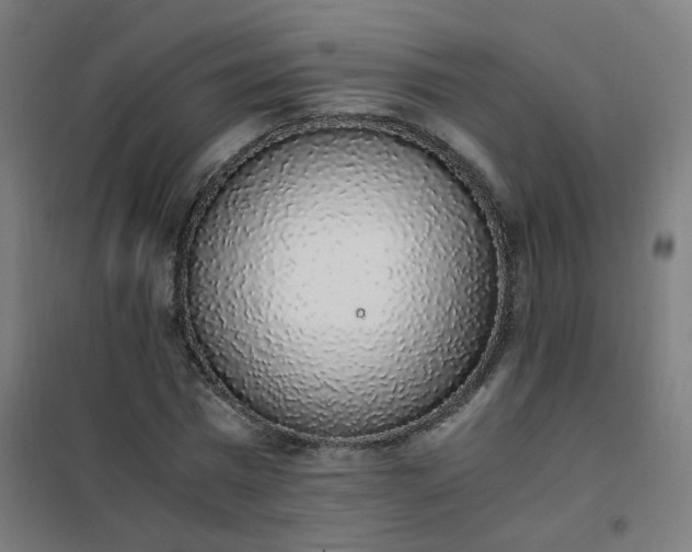 X0000101680777200807241344