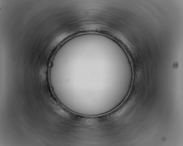 X0000101680778200807241344