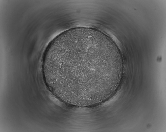 X0000101680779200807241344