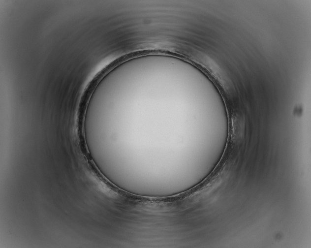 X0000101680780200807241344