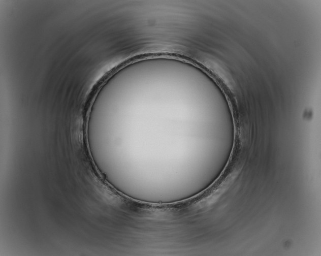 X0000101680781200807241344