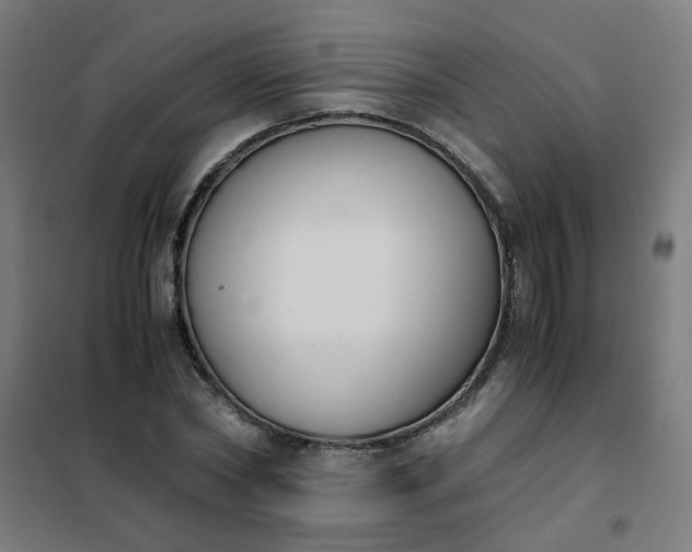 X0000101680782200807241344