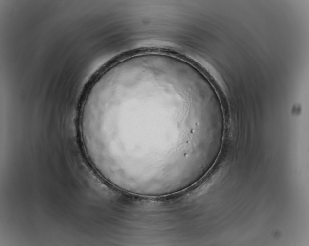 X0000101680783200807241344