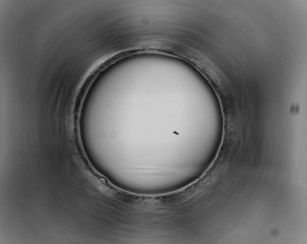 X0000101680784200807241344