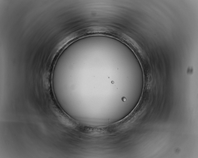 X0000101680786200807241344