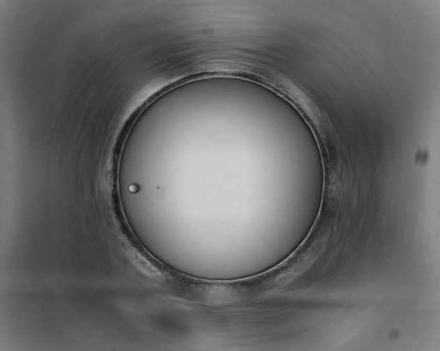 X0000101680787200807241344