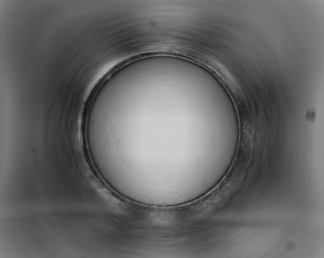 X0000101680788200807241344