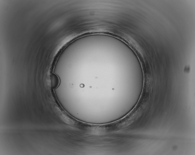 X0000101680789200807241344