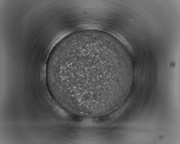 X0000101680790200807241344