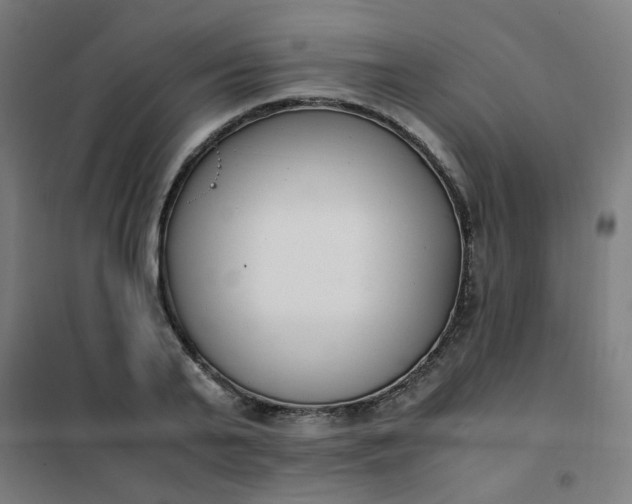 X0000101680791200807241344