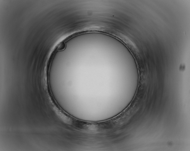 X0000101680792200807241344