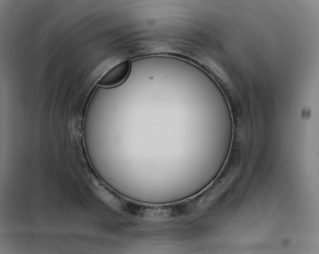 X0000101680793200807241344