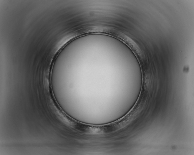 X0000101680794200807241344