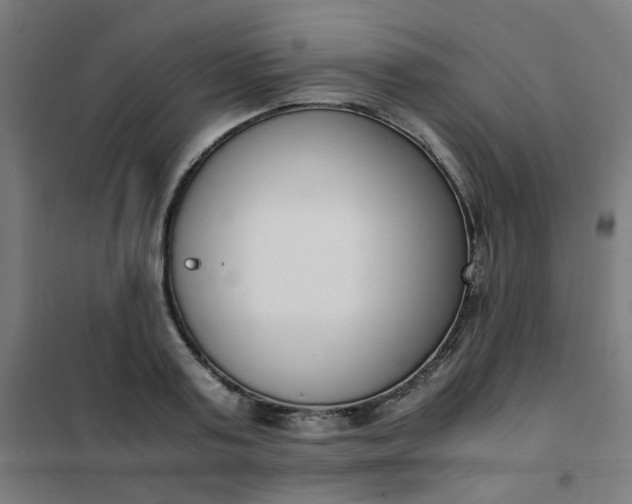 X0000101680795200807241344