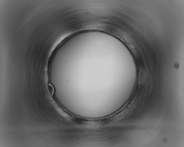 X0000101680796200807241344